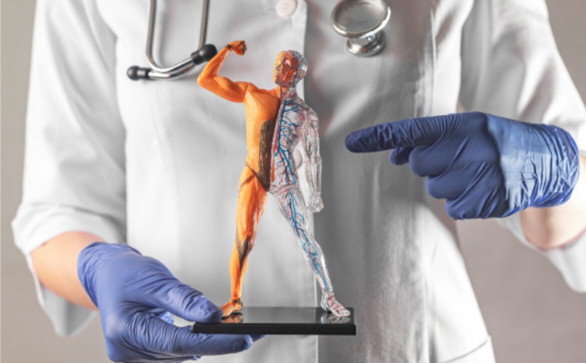 ağrı ve sakatlıklar kaderiniz olmasın ! - 4